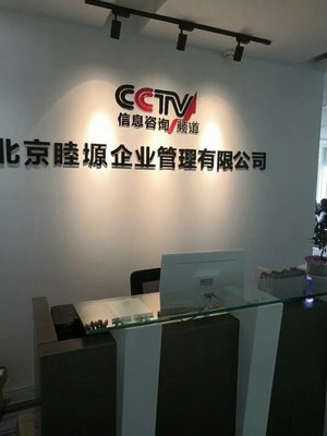 網絡銷售在北京信息咨詢服務中的應用與前景